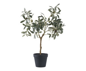 Árbol OLIVE 9501002