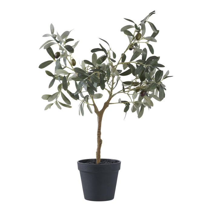 Árbol OLIVE 9501002