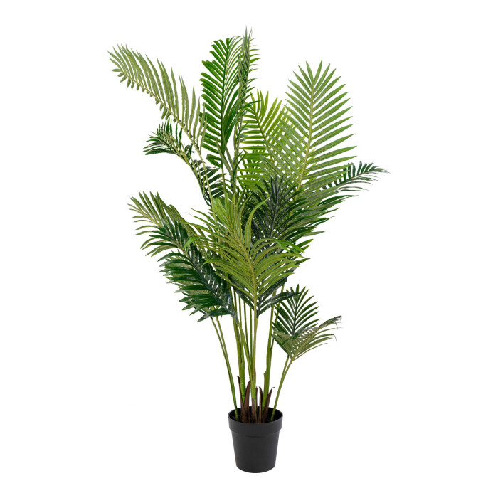 Palma ARECA 9501020