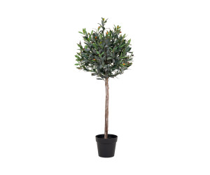 Árbol OLIVE 9501060