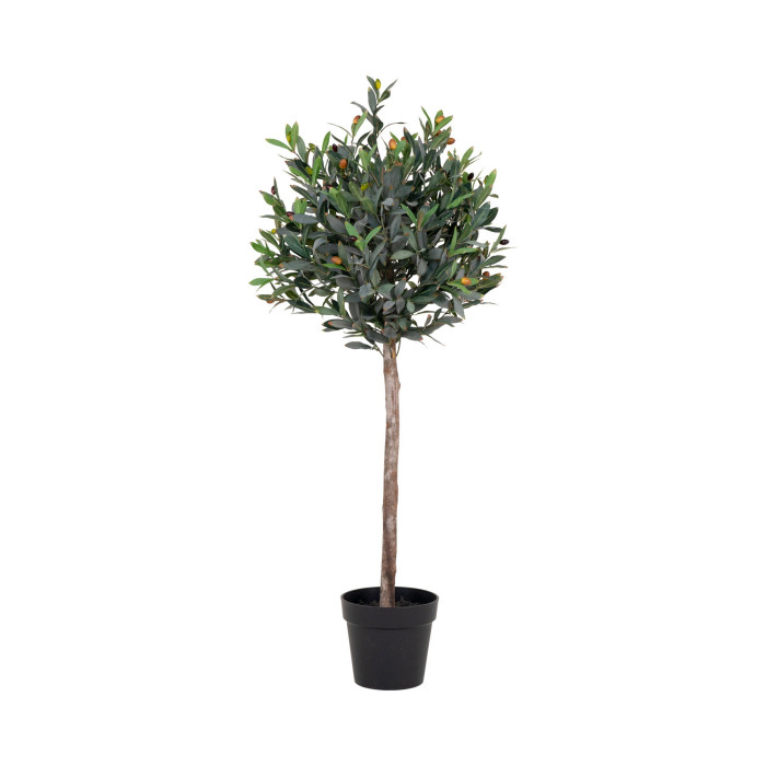Árbol OLIVE 9501060