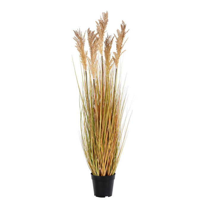 Césped SORGHUM 9501070