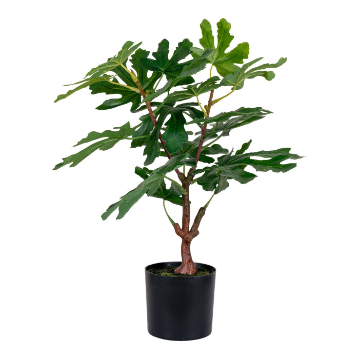 Árbol FIG 9501110
