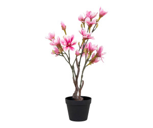 Árbol MAGNOLIA 9501130