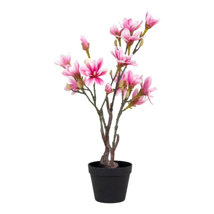 Árbol MAGNOLIA 9501130